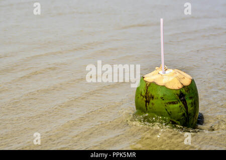 Frische junge Kokosnuss am Strand liegen Stockfoto