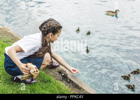 Adorable schulmädchen Fütterung Entenküken im Teich Stockfoto