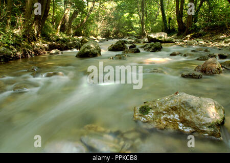 Schnellen Fluss in einem Bergwald an einem sonnigen Tag Stockfoto