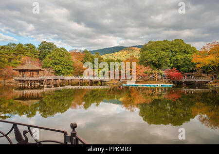 Anzeigen von Nara öffentlichen Park im Herbst, mit Teich und alten Pavillon Stockfoto