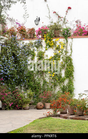 Lima, Peru, Südamerika. Larco Herrera Museum (Museo Arqueológico Rafael Larco Herrera) Terrasse mit wunderschönen Bougainvillea. (Für die redaktionelle Nutzung) Stockfoto