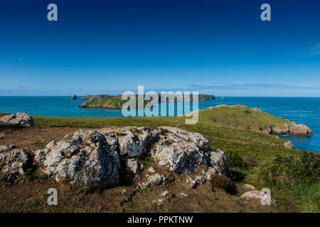 Blick vom Lookout Station über Skomer im Martin's Haven, in der Nähe von Marloes, Pembrokeshire, Wales Stockfoto