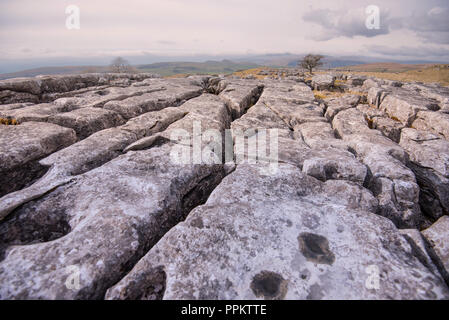 Kalkstein Pflaster North Yorkshire Stockfoto