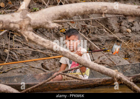 Pacaya Samiria Reservat, Peru, Südamerika. Junge zeigt ein roter Piranha fischen, die er gerade beim Angeln erstochen in seinem Einbaum im U hatte Stockfoto