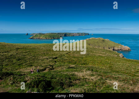 Skomer Island vom Lookout Station im Martin's Haven, in der Nähe von Marloes, Pembrokeshire, Wales gesehen Stockfoto