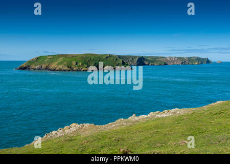 Skomer Island von der Landspitze im Martin's Haven, in der Nähe von Marloes, Pembrokeshire, Wales gesehen Stockfoto