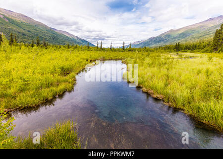 Blick auf frisch zubereitet Wasser Quelle gespeist Creek in der Eagle River Nature Center in Eagle River Alaska Stockfoto