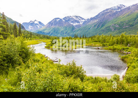 Blick auf frisch zubereitet Wasser Quelle gespeist Creek in der Eagle River Nature Center in Eagle River Alaska Stockfoto