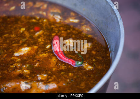 Gulyas Eintopf Kochen im Kessel. Nähe zu sehen. Stockfoto