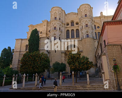 Barocke Fassade der Römisch-katholische Kathedrale von Malaga, mit Plaza mit Orangenbäumen vor Stockfoto