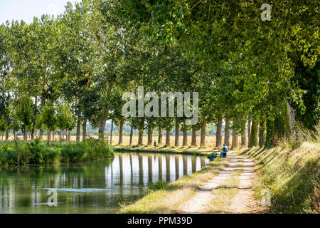 Typische bukolische Szene auf den von Bäumen gesäumten Treidelpfad entlang des Canal des Flusses Marne in Frankreich mit einem Mann angeln im Wasser. Stockfoto