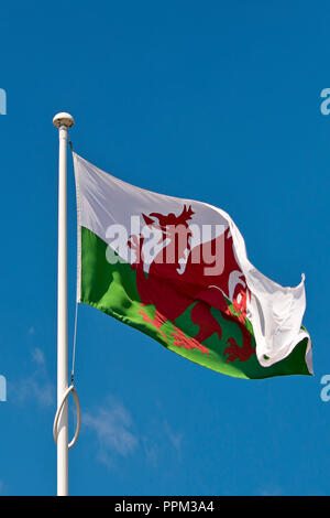 Vertikale in der Nähe der Flagge von Wales bei fullmast. Stockfoto