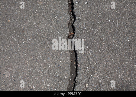 Gerade Risse im Asphalt der Straße Stockfoto