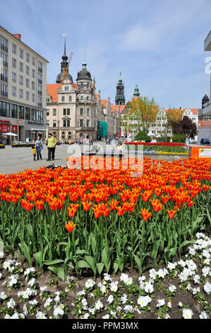 Street Scene, Dresden, Deutschland Stockfoto