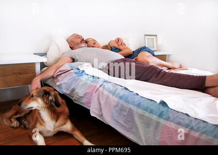Rough collie Hund liegt in der Nähe zum Bett und ruht im Morgen, während sein Besitzer schlafen auf das Bett im Schlafzimmer. Junge glück Paar. Stockfoto