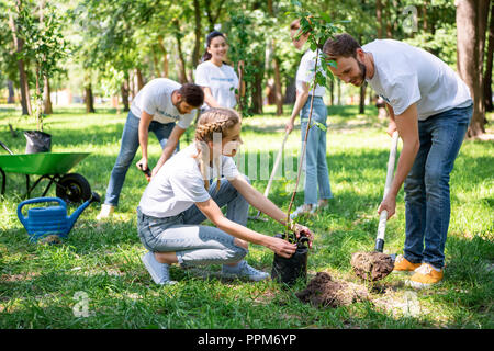 Freiwillige zusammen Pflanzen Baum im Green Park Stockfoto