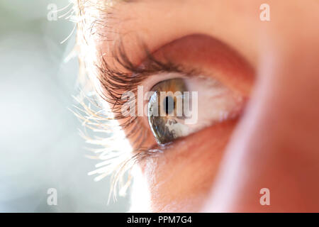 Nahaufnahme Makro Detail des blauen Auge Kugel Iris und Wimpern. 3/4-Ansicht flache Tiefenschärfe Anatomie des Auges. Stockfoto