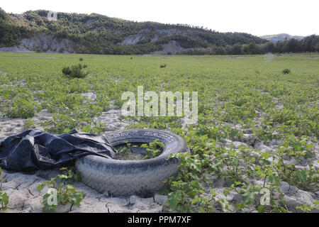 Ein Beispiel für die Umwelt verschmutzung durch Müll: eine vergeudete verlassener Reifen in das grüne Gras, über trockenen Lehmboden, in der mediano See, Spanien Stockfoto