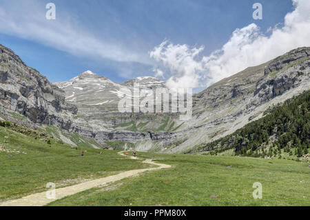 Eine Landschaft von einem Weg durch die hohen Berge und Gebirgsmassive, Kiefern und Tannen wald und tiefen blauen Himmel mit einigen Wolken im Ordesa-tal, Spanien Stockfoto