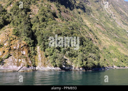 Fjordland National Park, Neuseeland, Milford Sound, Stockfoto