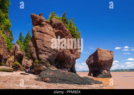 Steigende Flut an der Hopewell Rocks, Bucht von Fundy, New Brunswick Stockfoto