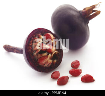 Rosa rugosa oder Strand rose schwarze Frucht mit weißem Hintergrund Stockfoto