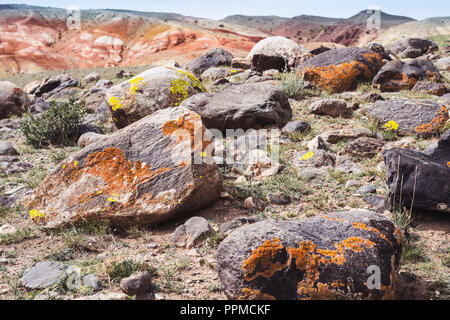 Haufen von Steinen mit Multi-farbigen Moss. Dramatische Tönung. Selektiver Fokus Stockfoto