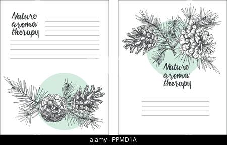 Set card Template mit Muster realistische botanischen Tuschezeichnung des Fir Tree Branches mit Pine Cone auf weißem Hintergrund. Vektorgrafiken Stock Vektor