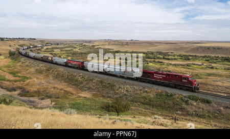 Medicine Hat, Alberta, Kanada. 10 Sep, 2018. Die Canadian Pacific Railway Güterzug, einschließlich hopper Triebwagen für Korn, fährt entlang der Strecke in der Nähe von Medicine Hat, Alberta. Credit: bayne Stanley/ZUMA Draht/Alamy leben Nachrichten Stockfoto