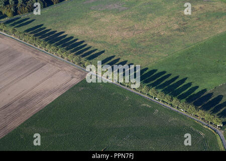 26. September 2018, Nordrhein-Westfalen, Köln: ein Foto aus der Luft durch ein Zeppelin NT genommen wird, zeigt ein Land Straße mit Bäumen gesäumt. Foto: Henning Kaiser/dpa Stockfoto