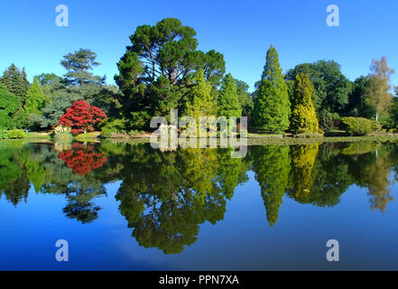 Sheffield Park, East Sussex. 27. September 2018. UK Wetter: Sonnenschein und hellen Anfang Herbst Farbe in Sheffield Park Gardens, East Sussex. © Peter Cripps/Alamy leben Nachrichten Stockfoto