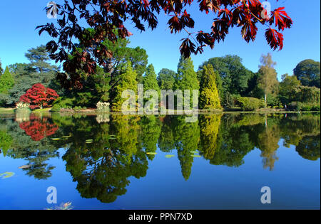 Sheffield Park, East Sussex. 27. September 2018. UK Wetter: Sonnenschein und hellen Anfang Herbst Farbe in Sheffield Park Gardens, East Sussex. © Peter Cripps/Alamy leben Nachrichten Stockfoto