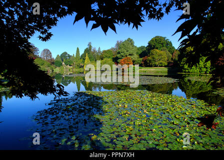 Sheffield Park, East Sussex. 27. September 2018. UK Wetter: Sonnenschein und hellen Anfang Herbst Farbe in Sheffield Park Gardens, East Sussex. © Peter Cripps/Alamy leben Nachrichten Stockfoto