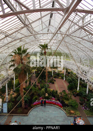 Die riesigen und wunderschönen Glasdach, das die enorme Glass House, die als Wintergärten, die an der Rückseite des Peoples Palace Museum auf Glasgow Green in Glasgow sitzt bekannt ist. Stockfoto