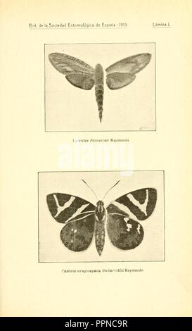 Boletín de la Sociedad entomológica de España Stockfoto
