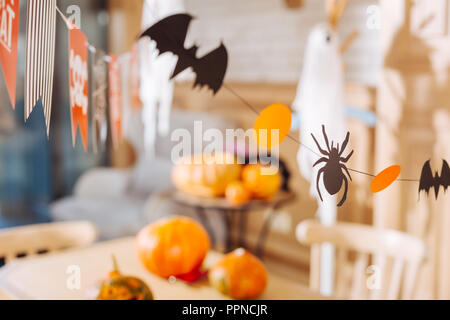 Kleine Fledermäuse und Spinnen aus Papier als Dekoration für Halloween verwendet Stockfoto