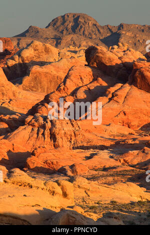 Anzeigen von Rainbow Vista Trailhead, Valley of Fire State Park, Nevada Stockfoto