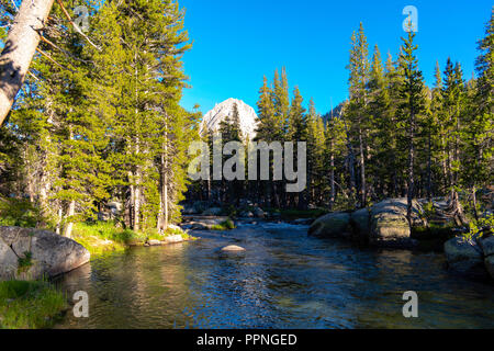 Blick auf den Berg "Der Einsiedler", der neben Evolution Creek bei Sonnenuntergang. John Muir Trail/Pacific Crest Trail. Sequoia Kings Canyon Wilderness Stockfoto