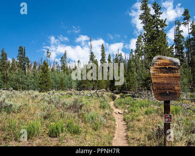 Der Weg in Eagle's Nest Wilderness Area im Summit County, Colorado Stockfoto