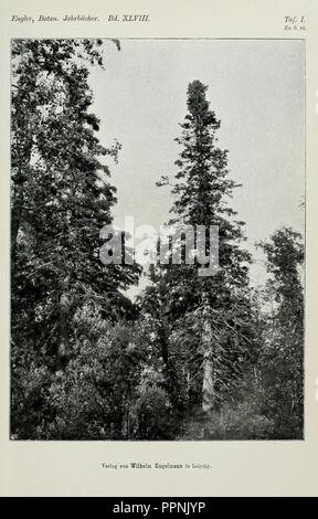 Botanische Jahrbücher Fur Systematik, Pflanzengeschichte Und Pflanzengeographie Stockfoto