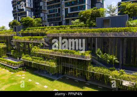 Üppige Landschaft auf der Bodenebene, die reist die Gebäudefassaden in Form von grünen Terrassen, Dachgärten und grünen Himmel Terrassen. Stockfoto