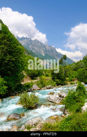 Fluss Valbona Valbona Valbona, Tal, Nationalpark, Albanischen Alpen, Prokletije, Qar Kukes, Albanien Stockfoto