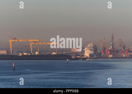 Am frühen Morgen nebligen Blick auf Belfast Docks, Kreuzfahrtschiff und Harland & Wolff Schiffbau Krane, Samson und Goliath. Belfast Lough, N. Irland. Stockfoto