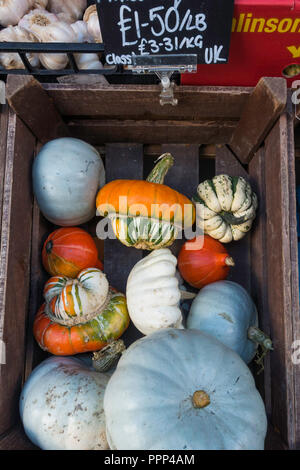 Sortierte günstig Kürbisse zum Verkauf in einem Obst- und Gemüsehändler shop in North Yorkshire im Herbst Stockfoto