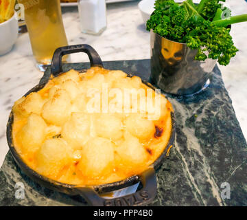 Fisch Torte überbacken mit Parmesan Mash und serviert mit grünen und eine Hälfte ein Pint Lager seaside Mahlzeit im Seaview Café Saltburn North Yorkshire UK Stockfoto