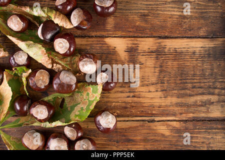 Kastanien und gefallenen Blatt auf Holzbrett. Herbst und retro-Konzept. Leeren Raum für Text oder Design. Nahaufnahme, Ansicht von oben. Stockfoto