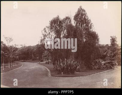 Botanischer Garten. Artist: Unbekannt. Abmessungen: 19,9 x 27,2 cm (7 13/16 x 10 11/16 in.). Datum: 1860s-70s. Museum: Metropolitan Museum of Art, New York, USA. Stockfoto