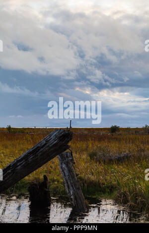 Stürmischen Himmel über Feuchtgebiete im Küstenbereich in Richmond, British Columbia. Stockfoto