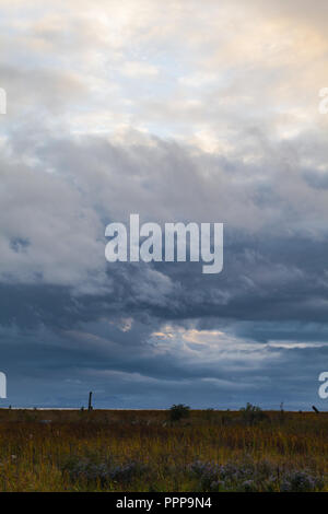 Stürmischen Himmel über Feuchtgebiete im Küstenbereich in Richmond, British Columbia. Stockfoto