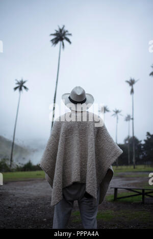 Kolumbianische Mann von hinten das Tragen eines traditionellen ruana mit Panama Hut auf der ikonischen Quindío wachs Palmen in Cocora Tal, Kolumbien. Sep 2018 Stockfoto